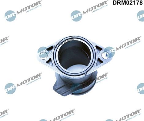 Lizarte DRM02178 - - - autocars.com.ua