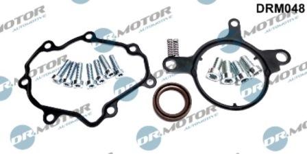 Lizarte DRM048 - Ремкомплект, вакуумний насос (гальмівна установка) autocars.com.ua