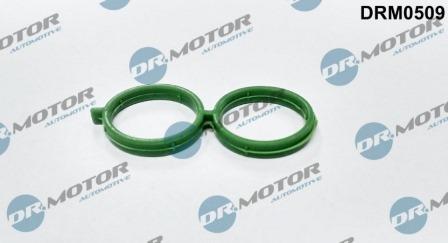 Lizarte DRM0509 - Прокладка, поворотна заслінка - підведення повітря autocars.com.ua