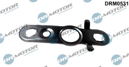 Lizarte DRM0531 - Прокладка, паливопровід autocars.com.ua