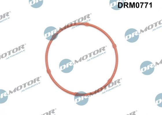 Lizarte DRM0771 - Прокладка, масляний насос autocars.com.ua