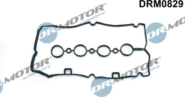 Lizarte DRM0829 - Прокладка, кришка головки циліндра autocars.com.ua