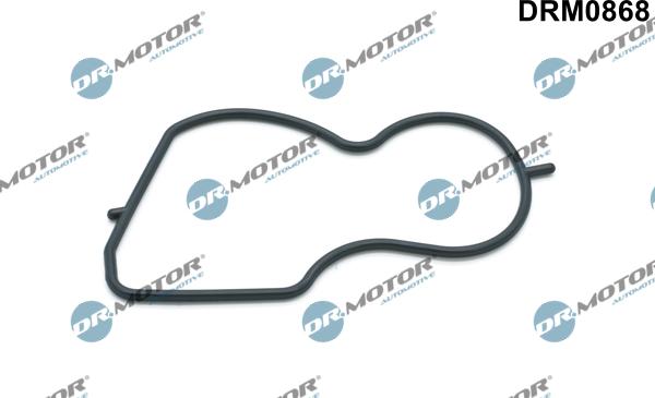 Lizarte DRM0868 - Прокладка, вакуумний насос autocars.com.ua