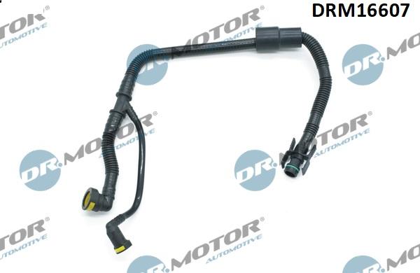 Lizarte DRM16607 - Шланг, вентиляція картера autocars.com.ua