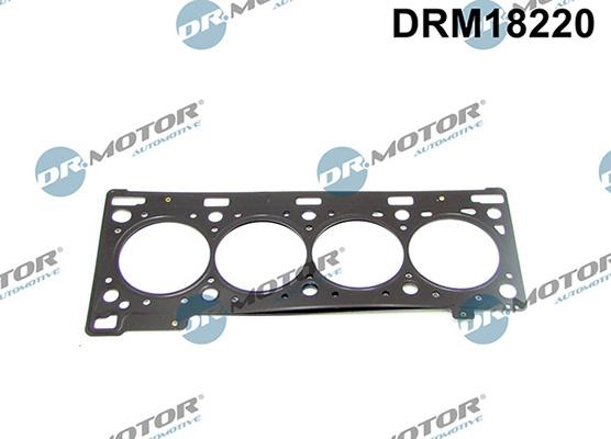 Lizarte DRM18220 - Прокладка, головка циліндра autocars.com.ua