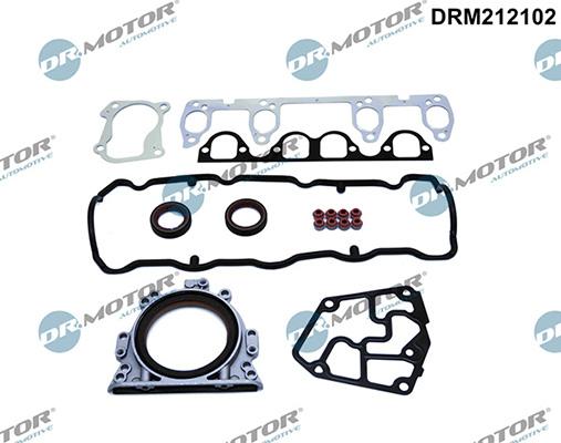 Lizarte DRM212102 - Комплект прокладок, двигатель autodnr.net