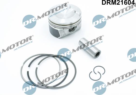 Lizarte DRM21604 - Поршень autocars.com.ua