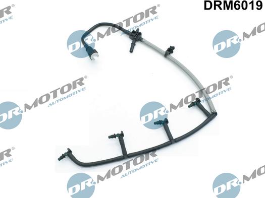 Lizarte DRM6019 - Шланг, витік палива autocars.com.ua