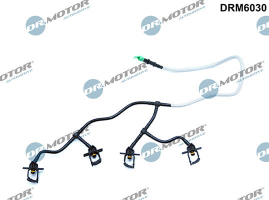 Lizarte DRM6030 - Шланг, витік палива autocars.com.ua