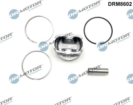 Lizarte DRM8602 - Поршень autocars.com.ua