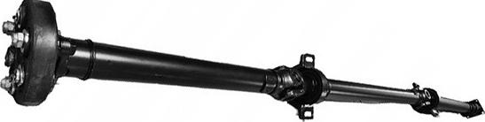 Lizarte PS0010 - Карданний вал, головна передача autocars.com.ua