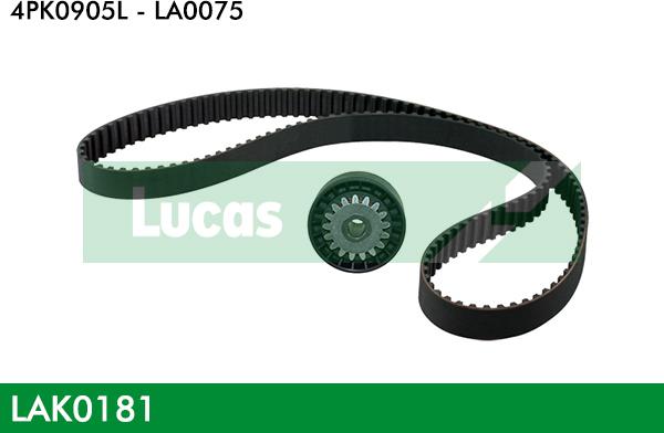 LUCAS LAK0181 - Поликлиновий ремінний комплект autocars.com.ua
