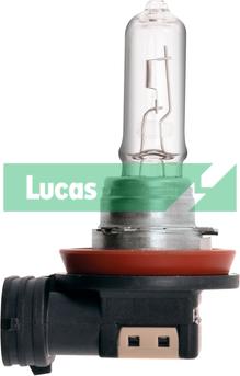 LUCAS LLB709 - Лампа розжарювання, фара дальнього світла autocars.com.ua