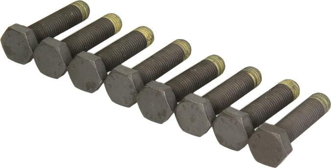 LUK 411 0026 10 - Комплект болтів, маховик autocars.com.ua