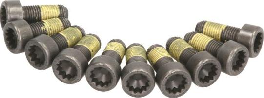 LUK 411 0161 10 - Комплект болтів, маховик autocars.com.ua