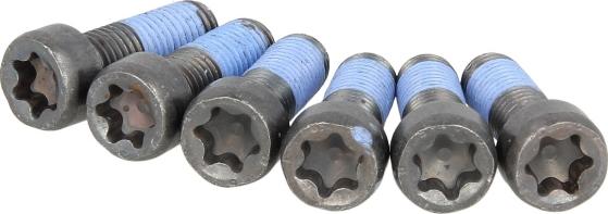 LUK 411 0169 10 - Комплект болтів, маховик autocars.com.ua