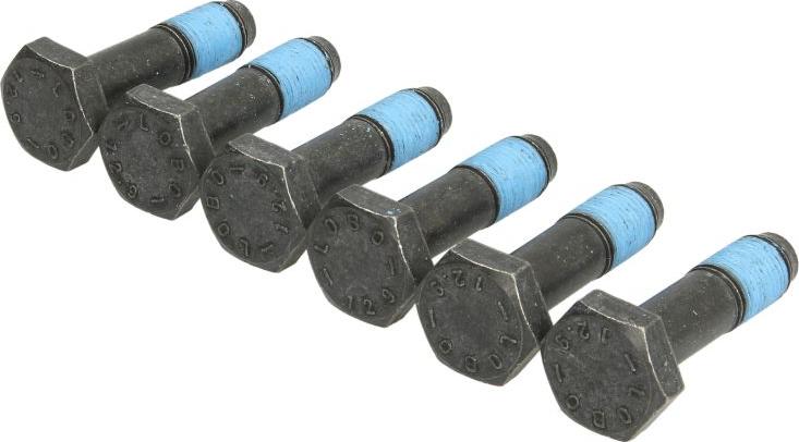 LUK 411 0239 10 - Комплект болтів, маховик autocars.com.ua