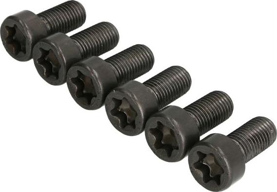 LUK 411 0256 10 - Комплект болтів, маховик autocars.com.ua