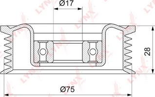 LYNXauto PB-5144 - Паразитний / провідний ролик, поліклиновий ремінь autocars.com.ua
