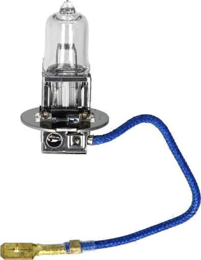 Magneti Marelli 002554100000 - Лампа розжарювання, протитуманні фари autocars.com.ua