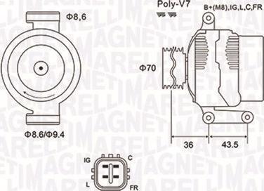 Magneti Marelli 063731980010 - Генератор autocars.com.ua