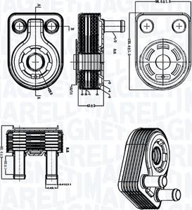 Magneti Marelli 350300005500 - Масляний радіатор, рухове масло autocars.com.ua