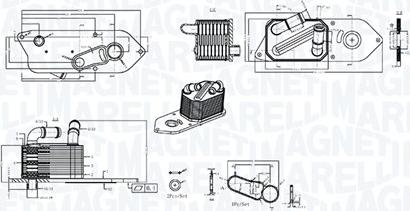 Magneti Marelli 350300006800 - Масляний радіатор, рухове масло autocars.com.ua