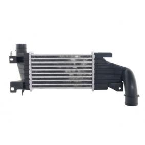 Magneti Marelli 351319200483 - Интеркулер autocars.com.ua