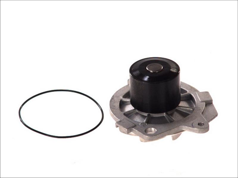 Magneti Marelli 352316170317 - Водяний насос autocars.com.ua