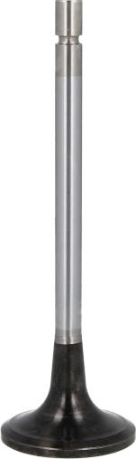 MAHLE 001 VE 30962 000 - Впускний клапан autocars.com.ua