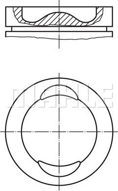MAHLE 029 74 01 - Поршень autocars.com.ua