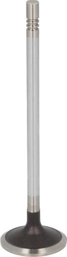 MAHLE 007 VE 31880 000 - Впускний клапан autocars.com.ua