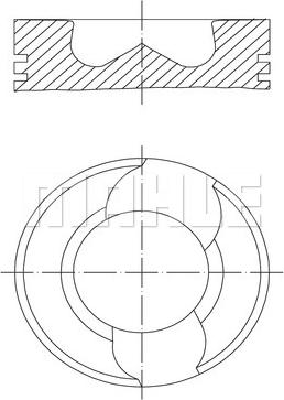 Gunes 0309800 - Поршень autocars.com.ua