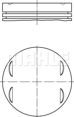 MAHLE 083 20 02 - Поршень autocars.com.ua