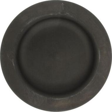 MAHLE 224-3858 - Поршень autocars.com.ua