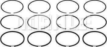 MAHLE A25019 - Комплект поршневих кілець autocars.com.ua