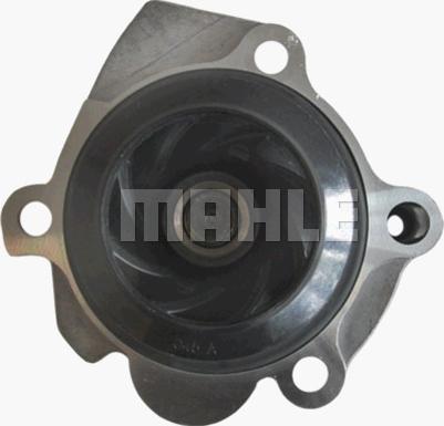 MAHLE CP 121 000P - Водяний насос autocars.com.ua