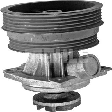 MAHLE CP 146 000P - Водяной насос avtokuzovplus.com.ua