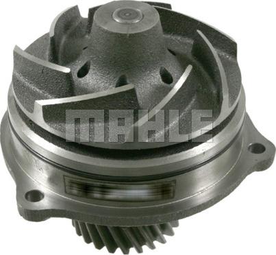 MAHLE CP 507 000S - Водяний насос autocars.com.ua