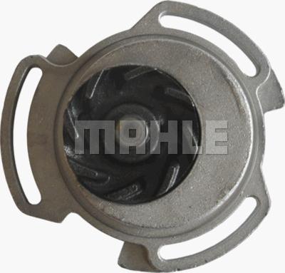 MAHLE CP 66 000P - Водяной насос avtokuzovplus.com.ua