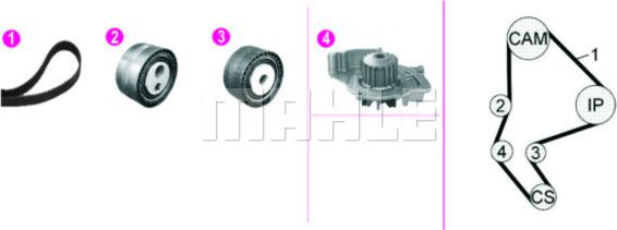 MAHLE CPK 135 000P - Водяний насос + комплект зубчатого ременя autocars.com.ua