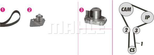 MAHLE CPK 86 000P - Водяной насос + комплект зубчатого ремня autodnr.net