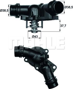 MAHLE TM 13 97 - 0 autocars.com.ua