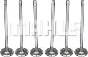 MAHLE VA0011469 - Впускний клапан autocars.com.ua