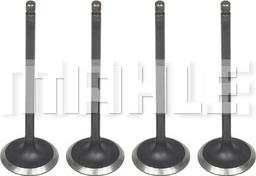 MAHLE VA0031570 - Впускний клапан autocars.com.ua