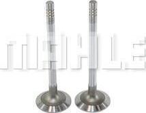 MAHLE VA0130277 - Впускний клапан autocars.com.ua