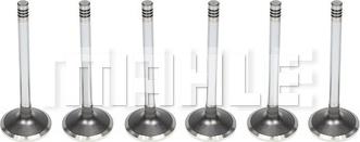 MAHLE VA0130933 - Впускний клапан autocars.com.ua