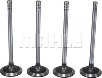 MAHLE VA0131750 - Впускний клапан autocars.com.ua