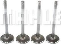 MAHLE VA0140015 - Впускний клапан autocars.com.ua