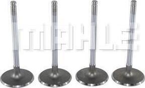 MAHLE VA0140040 - Впускний клапан autocars.com.ua